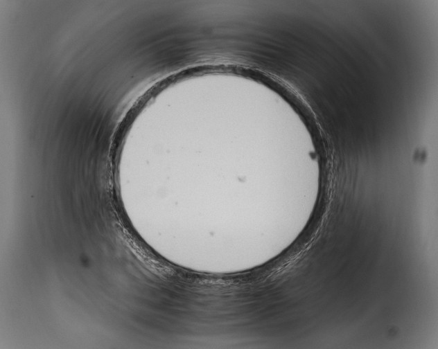 X0000115020927200911231247