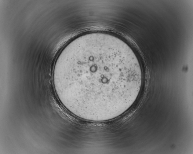 X0000115020930200911231247