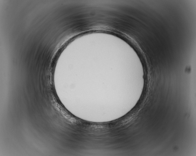 X0000115020931200911231247