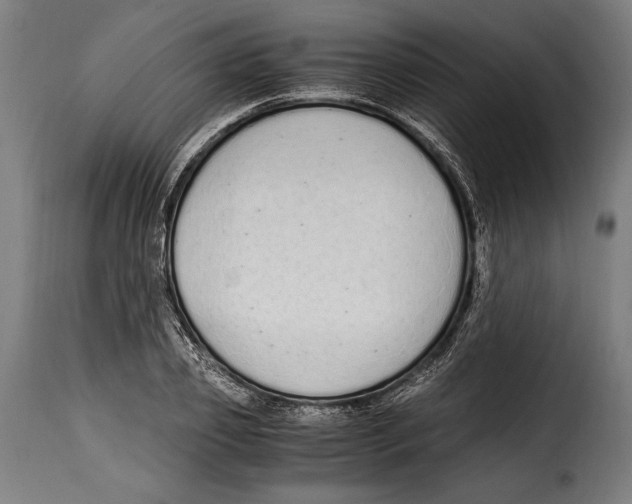 X0000115020933200911231247