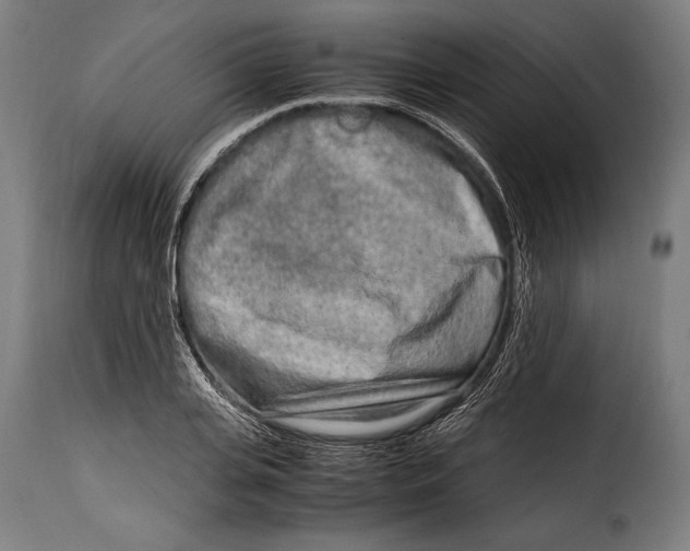 X0000115020935200911231247