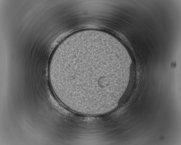 X0000115020938200911231247