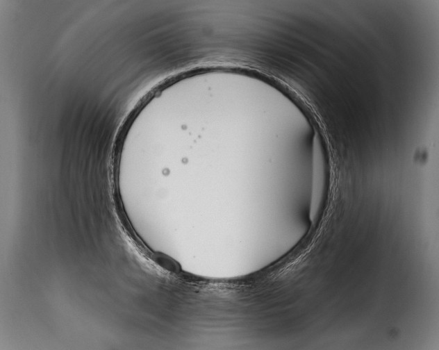 X0000115020942200911231247