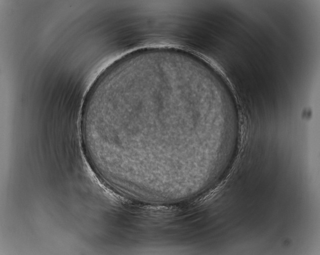 X0000115020943200911231247