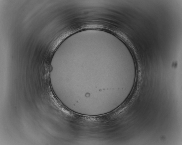 X0000115020945200911231247