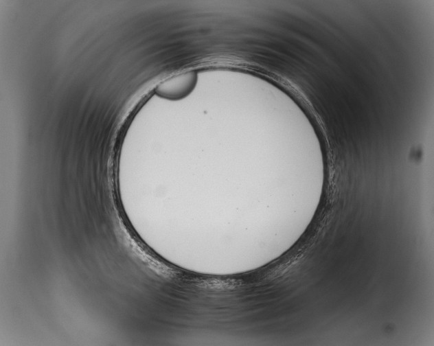 X0000115020947200911231247