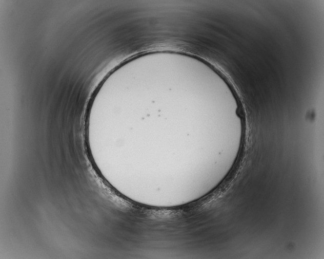 X0000115020949200911231247