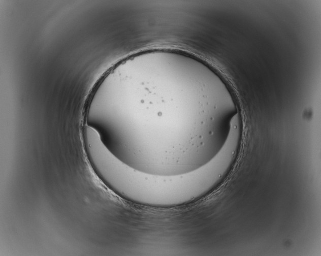 X0000115020950200911231247