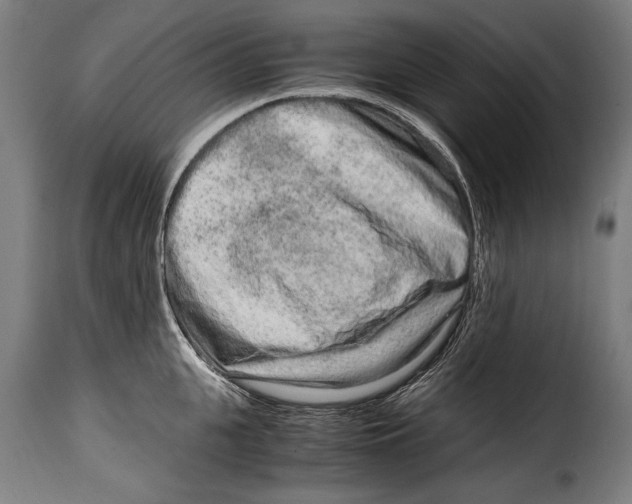 X0000115020951200911231247