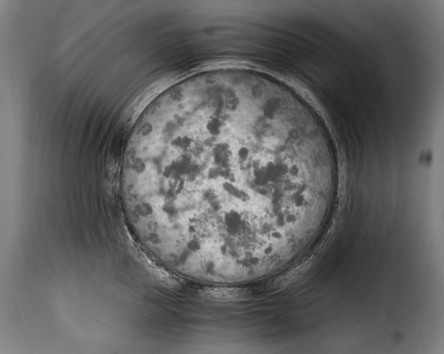 X0000115020953200911231247