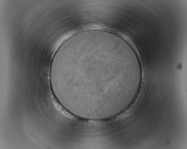 X0000115020954200911231247