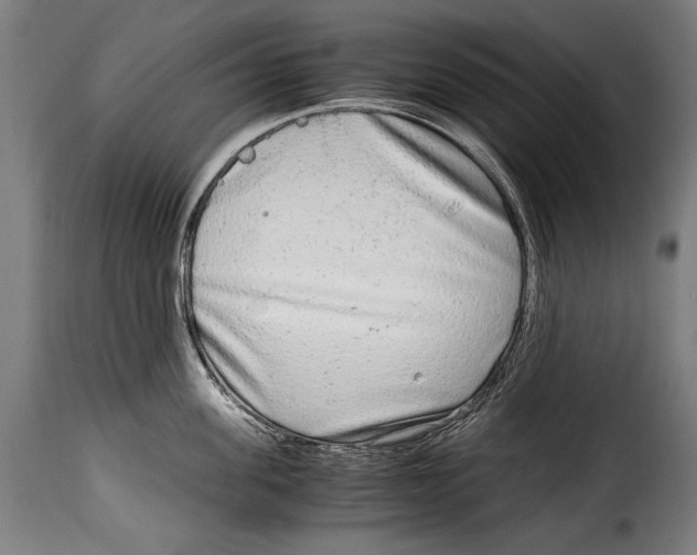 X0000115020955200911231247