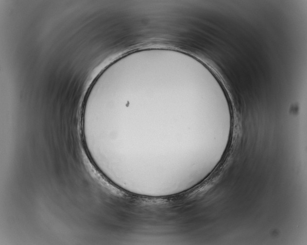 X0000115020957200911231247