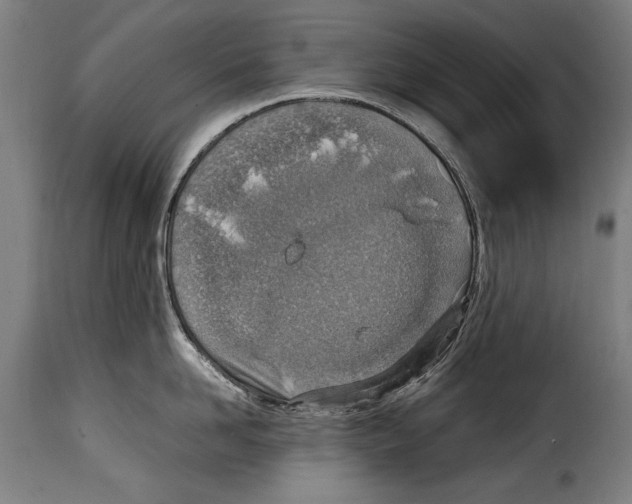 X0000115020958200911231247