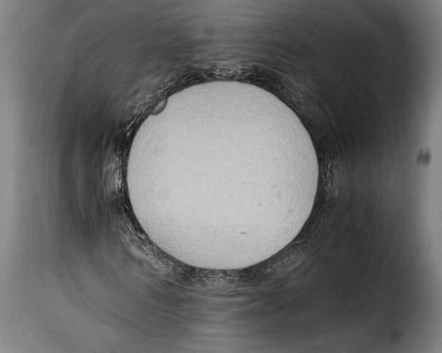 X0000115020962200911231247