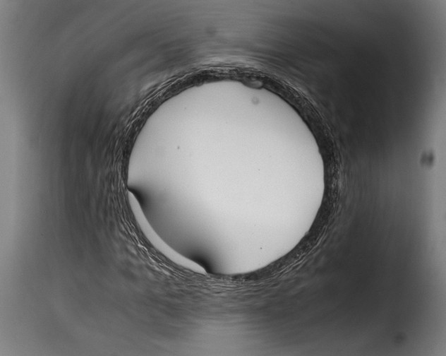 X0000115020965200911231247