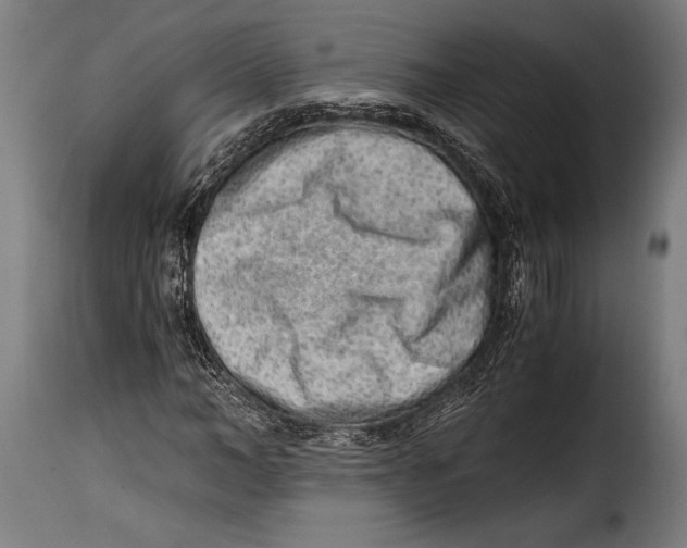 X0000115020966200911231247