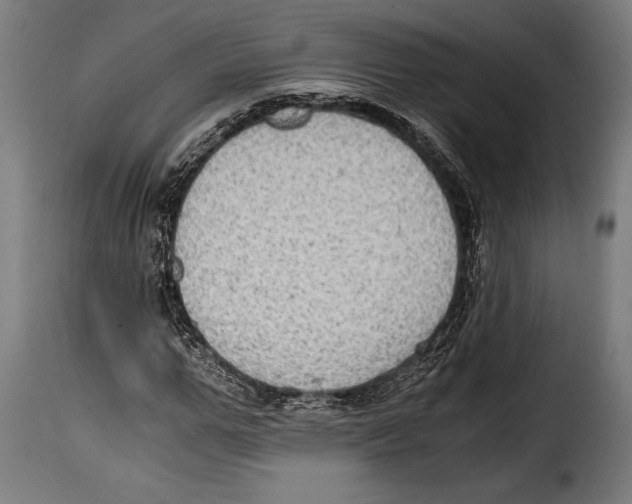 X0000115020967200911231247