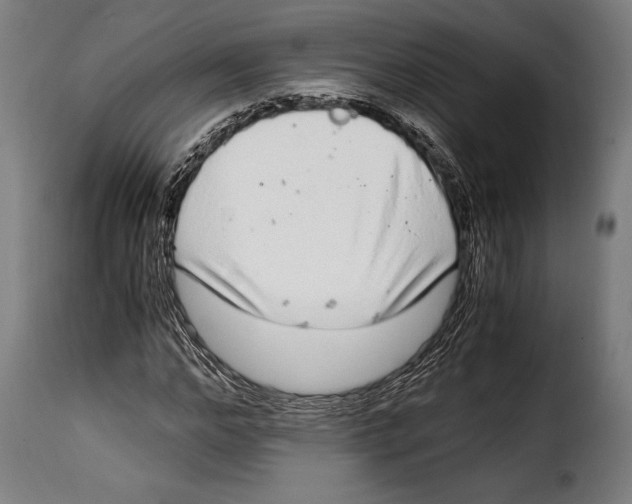 X0000115020968200911231247