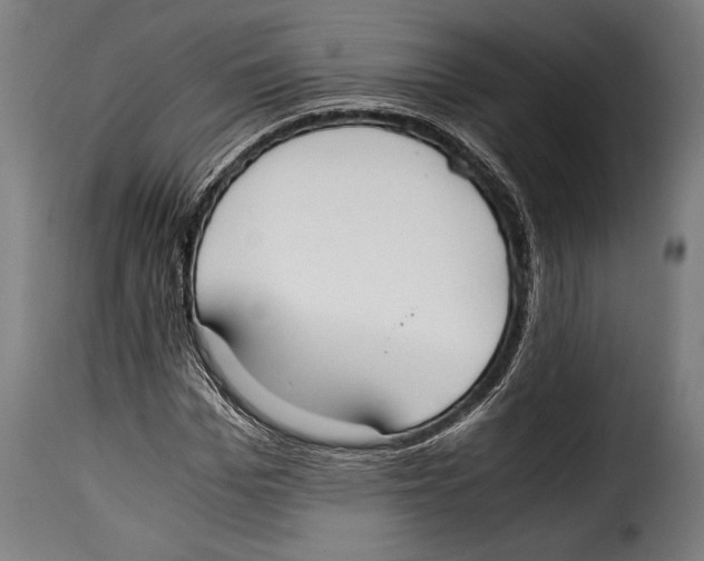 X0000115020969200911231247