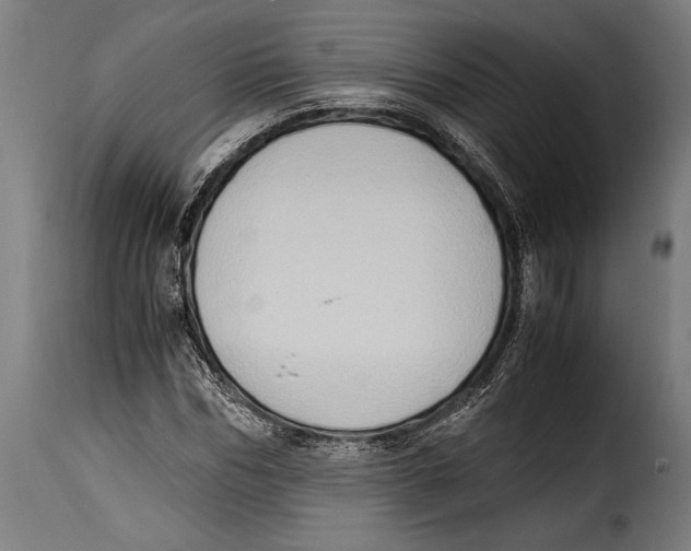 X0000115020970200911231247