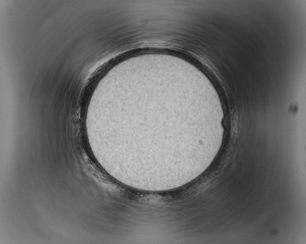 X0000115020971200911231247