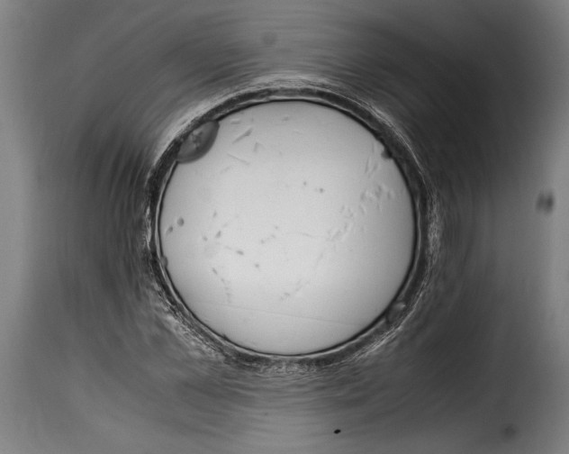 X0000115020973200911231246