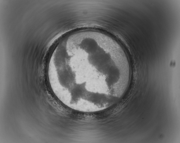 X0000115020975200911231246