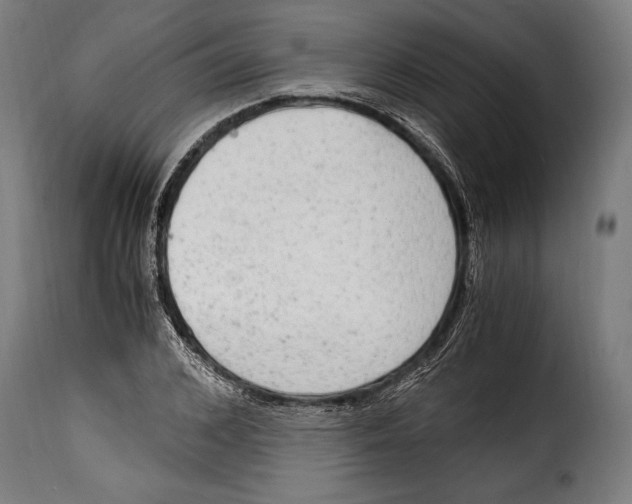 X0000115020976200911231246