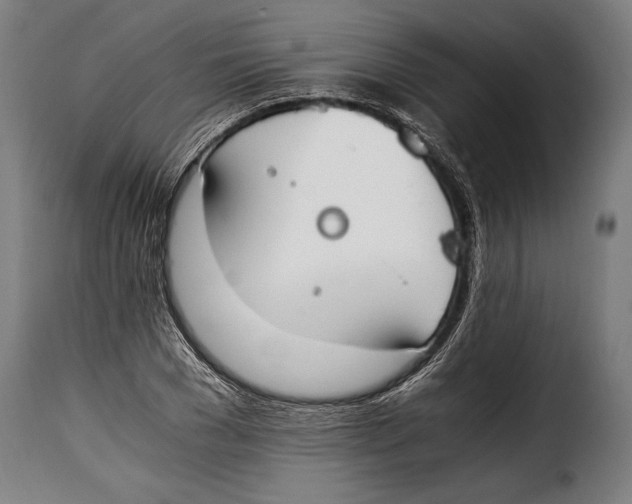 X0000115020977200911231246