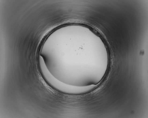 X0000115020981200911231246