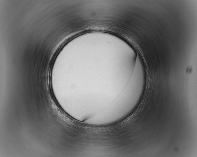 X0000115020984200911231246