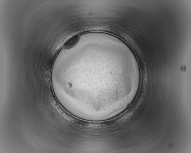 X0000115020985200911231246