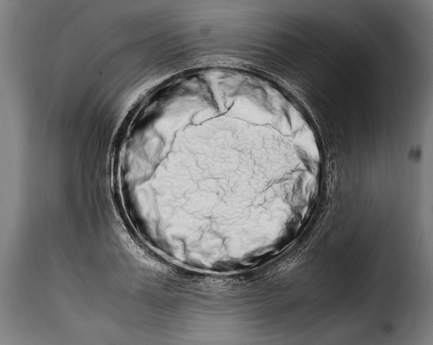 X0000115020987200911231246