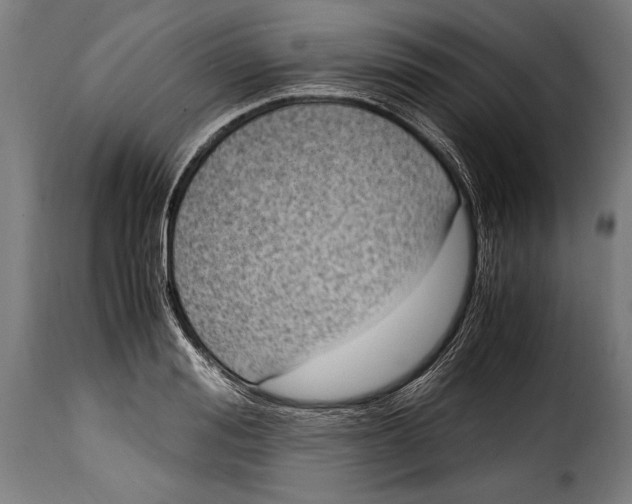 X0000115020988200911231246