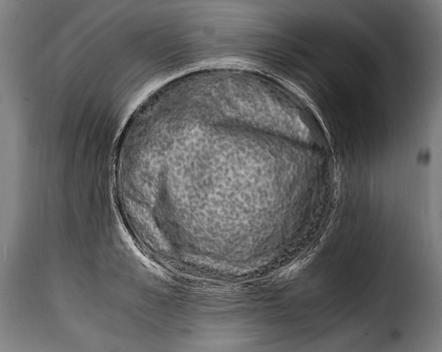 X0000115020989200911231246