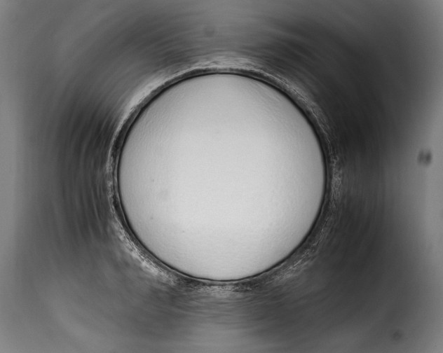 X0000115020990200911231246