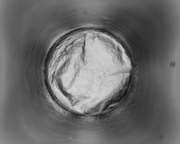 X0000115020991200911231246