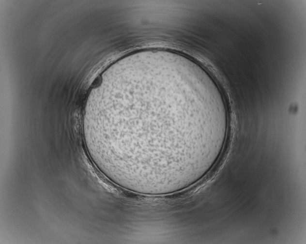 X0000115020993200911231246