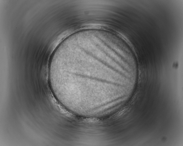 X0000115020994200911231246