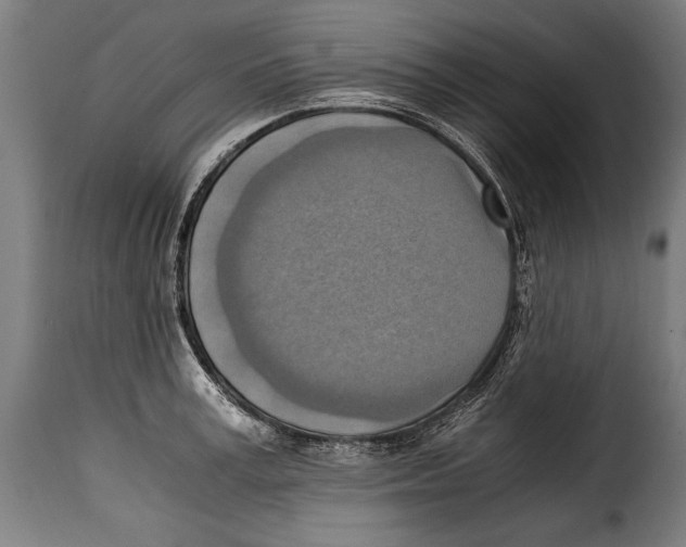 X0000115020995200911231246