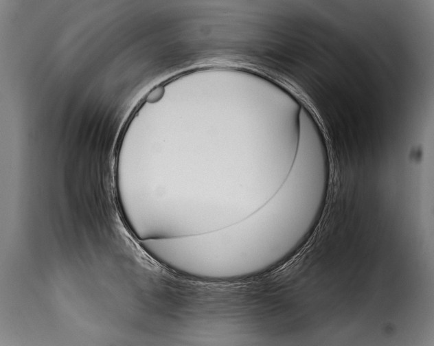 X0000115020996200911231246