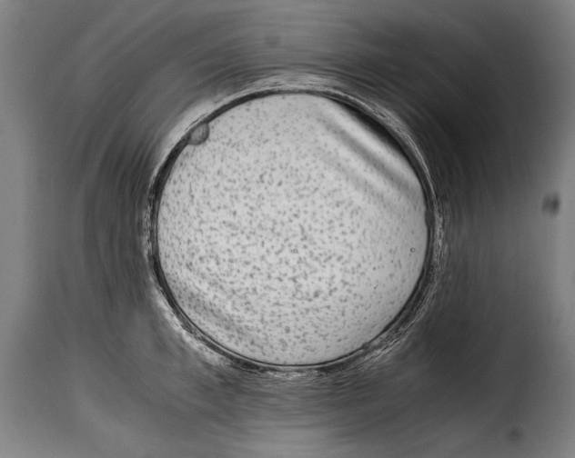 X0000115020997200911231246