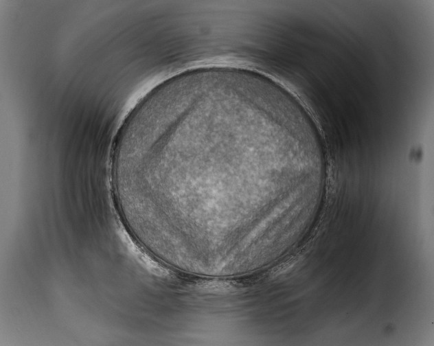 X0000115020998200911231246