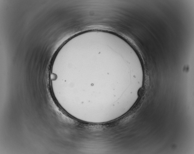 X0000115020999200911231246