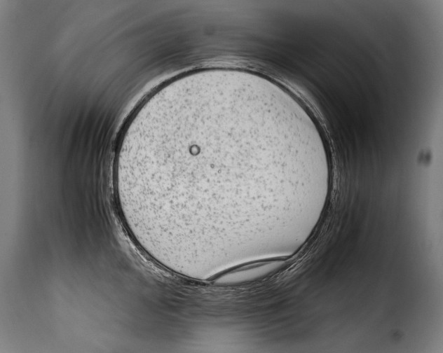 X0000115021000200911231246