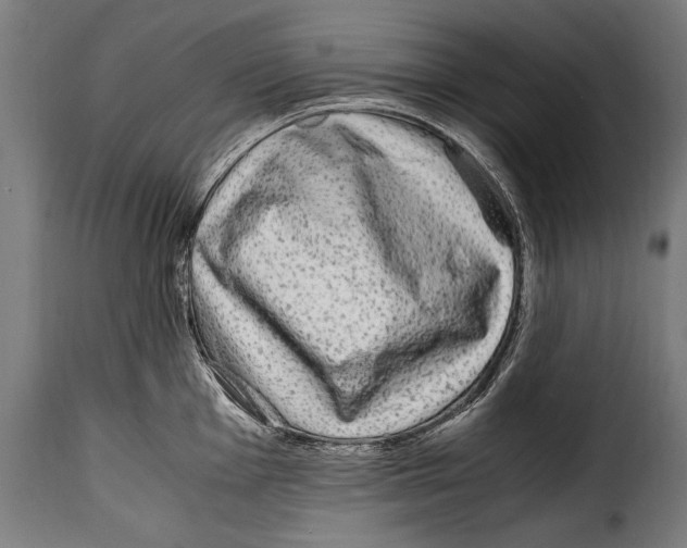 X0000115021001200911231246