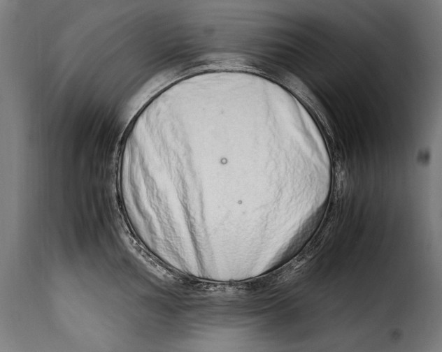 X0000115021002200911231246