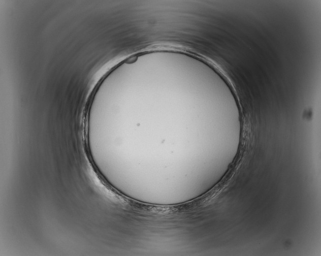 X0000115021003200911231246