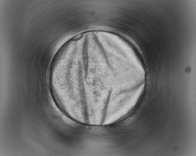 X0000115021007200911231246